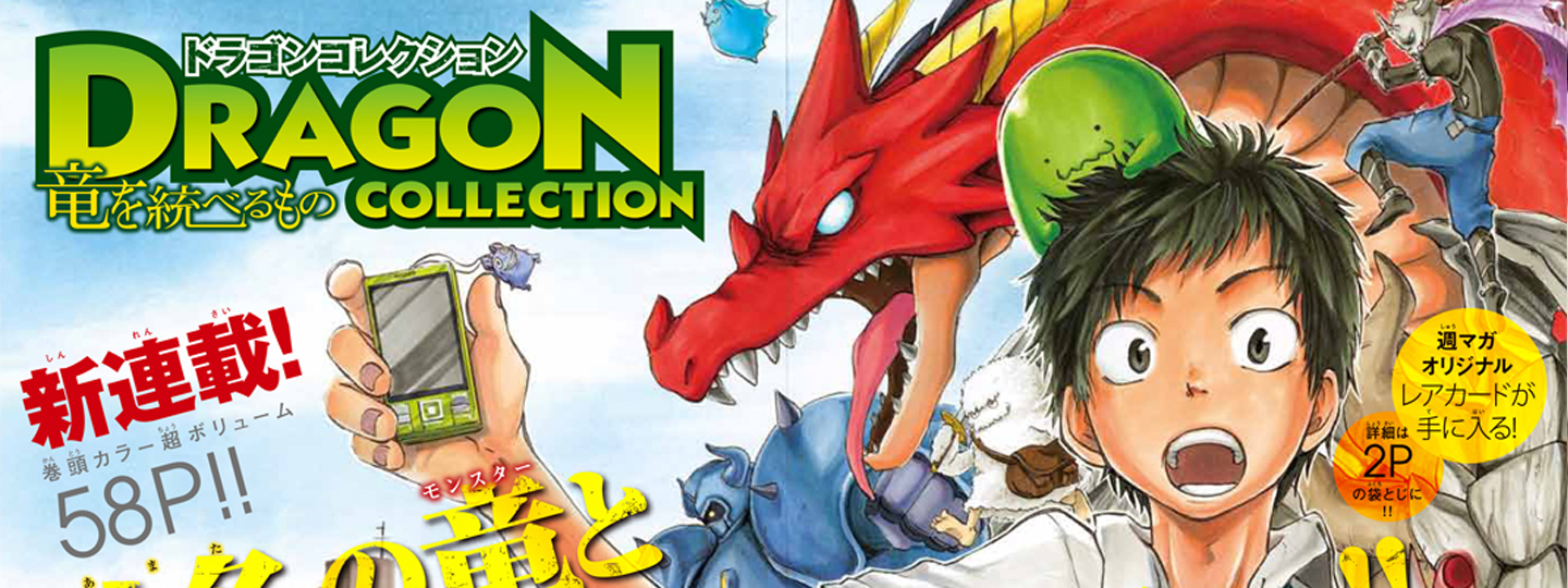 Dragon Collection: Ryuu wo Suberumono