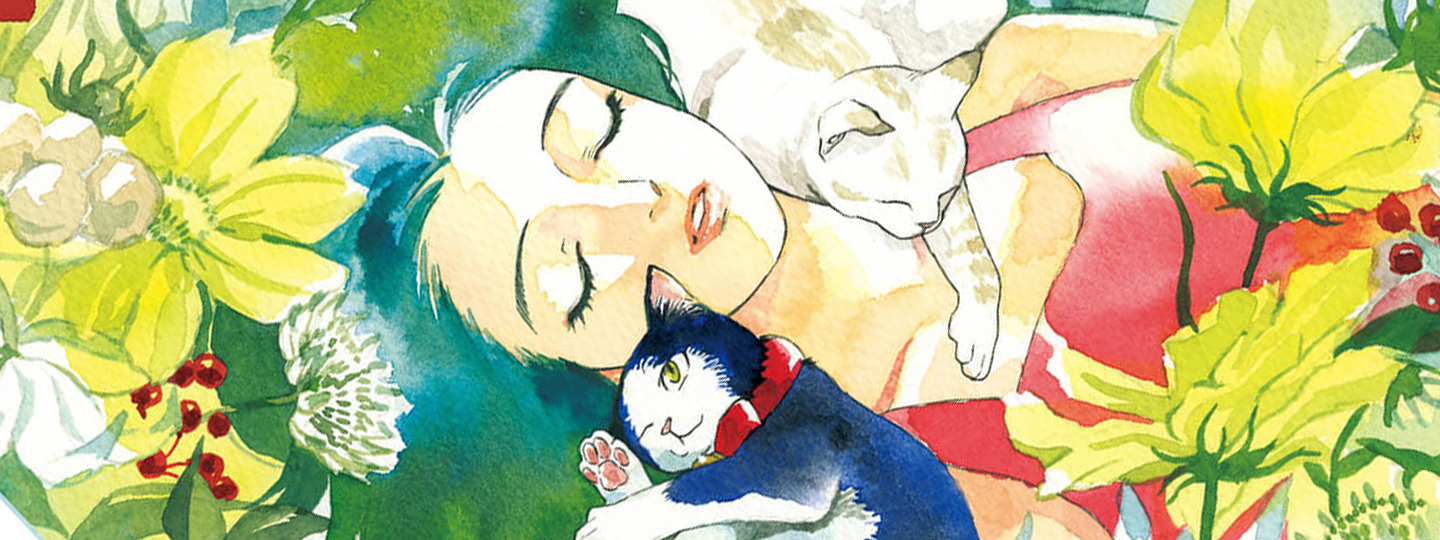 Story of Fifty Centimeters.