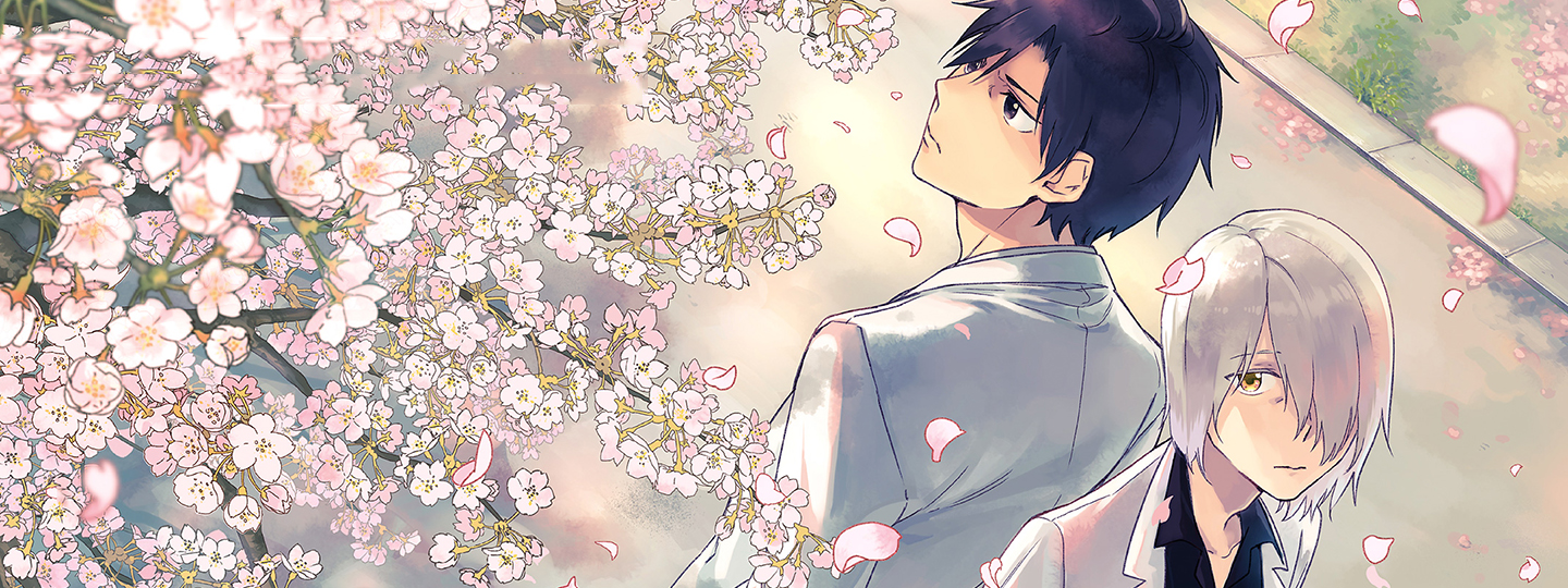 The Last Doctors Think of You Whenever They Look up to Cherry Blossoms